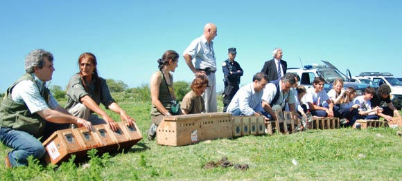 aves Temaikén y la Dirección Nacional de Fauna realizaron la suelta en la Reserva Municipal de Pilar.