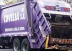 covelia_2 covelia_2