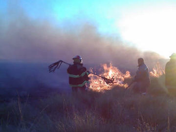 incendio-2 Los bomberos combaten las llamas.
