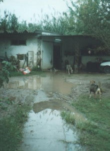 El interior de la perrera municipal, lleno de agua.