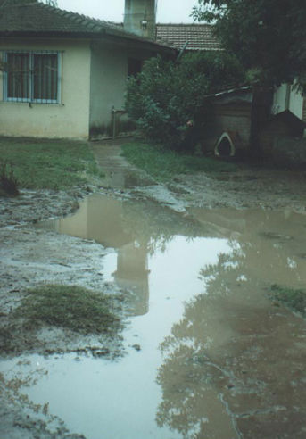 perrera Una de las fotografías que difundió MAYDA.