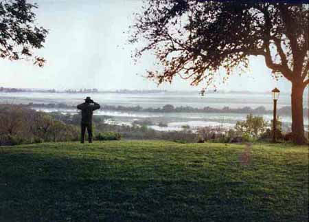 ampliar imagen ampliar imagen