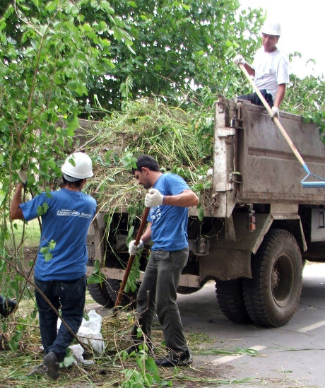 Varias cooperativas están abocadas a la recolección de ramas.