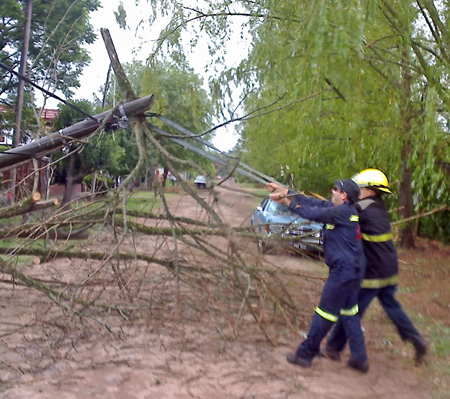 Bomberos retiran ramas caídas sobre cables de un poste que también cedió.