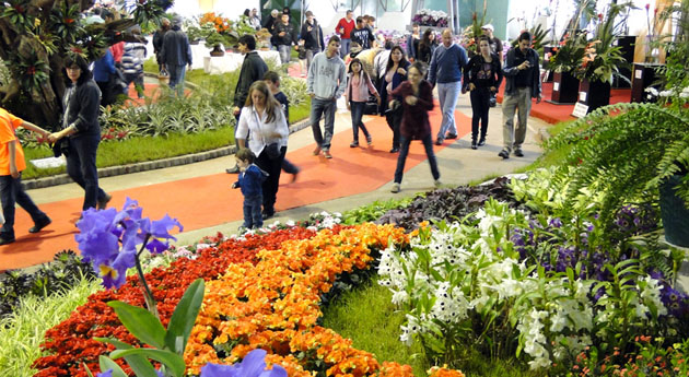 Flores, colores y aire puro. Comienza una nueva edición de la tradicional Fiesta Nacional de la Flor.