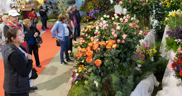 Un clásico de todas las primaveras. El sábado 24 comienza la 53° Fiesta Nacional de la Flor.